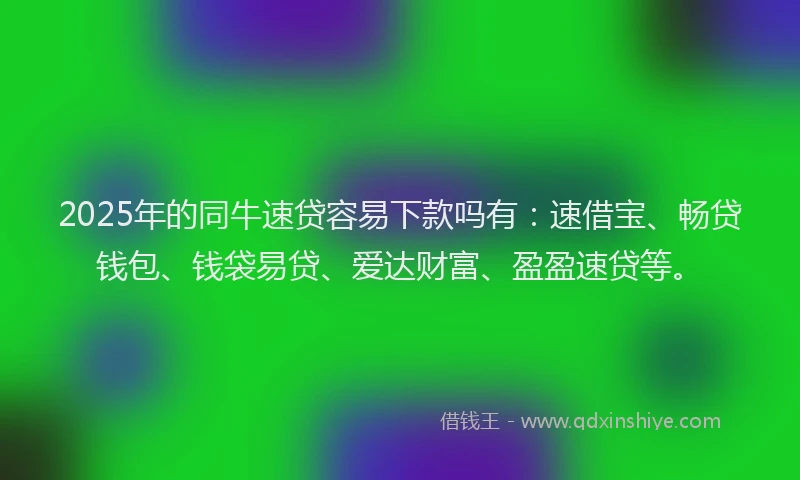 2025年的同牛速贷容易下款吗有：速借宝、畅贷钱包、钱袋易贷、爱达财富、盈盈速贷等。