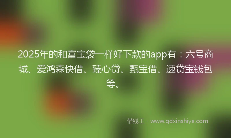 2025年的和富宝袋一样好下款的app有：六号商城、爱鸿森快借、臻心贷、甄宝借、速贷宝钱包等。