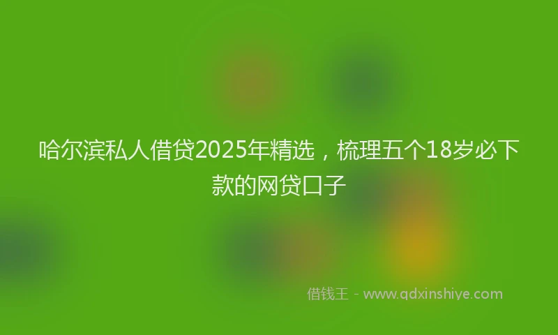 哈尔滨私人借贷2025年精选，梳理五个18岁必下款的网贷口子