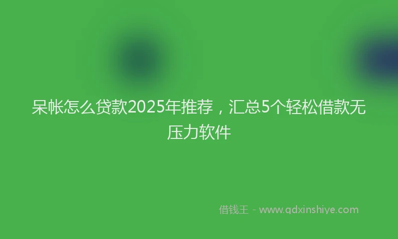 呆帐怎么贷款2025年推荐，汇总5个轻松借款无压力软件