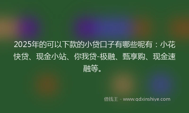 2025年的可以下款的小贷口子有哪些呢有：小花快贷、现金小站、你我贷-极融、甄享购、现金速融等。
