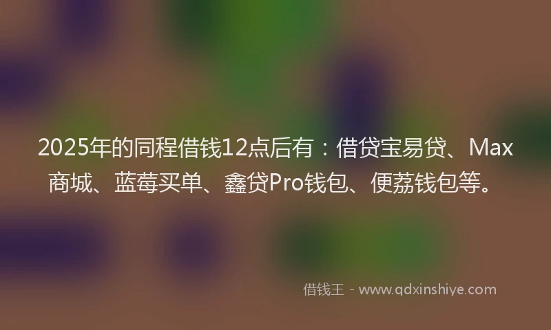 2025年的同程借钱12点后有：借贷宝易贷、Max商城、蓝莓买单、鑫贷Pro钱包、便荔钱包等。