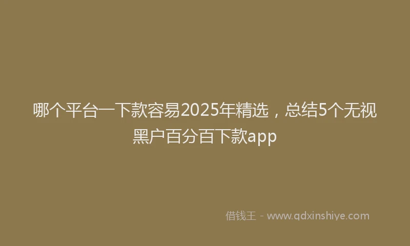 哪个平台一下款容易2025年精选,总结5个无视黑户百分百下款app