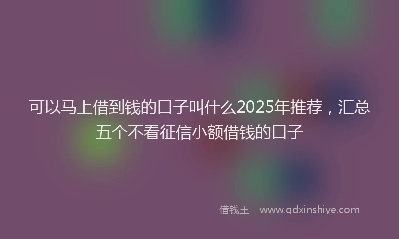 可以马上借到钱的口子叫什么2025年推荐，汇总五个不看征信小额借钱的口子