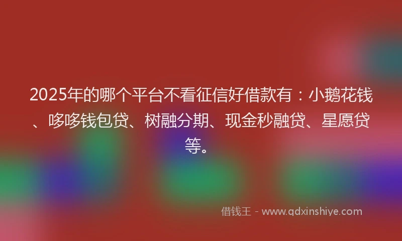 2025年的哪个平台不看征信好借款有：小鹅花钱、哆哆钱包贷、树融分期、现金秒融贷、星愿贷等。