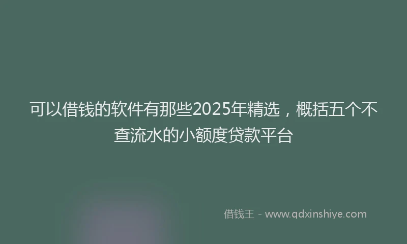 可以借钱的软件有那些2025年精选，概括五个不查流水的小额度贷款平台