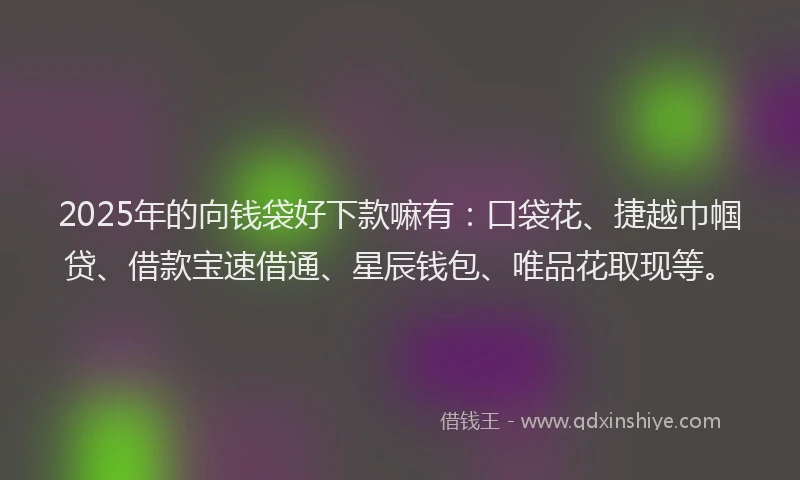 2025年的向钱袋好下款嘛有：口袋花、捷越巾帼贷、借款宝速借通、星辰钱包、唯品花取现等。