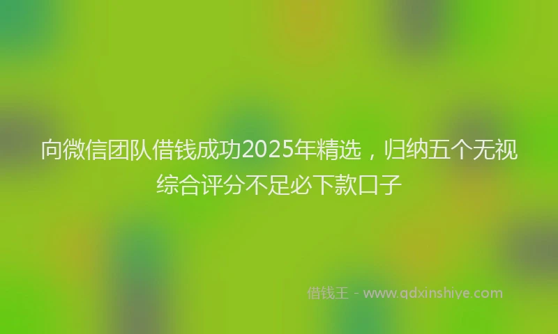 向微信团队借钱成功2025年精选，归纳五个无视综合评分不足必下款口子