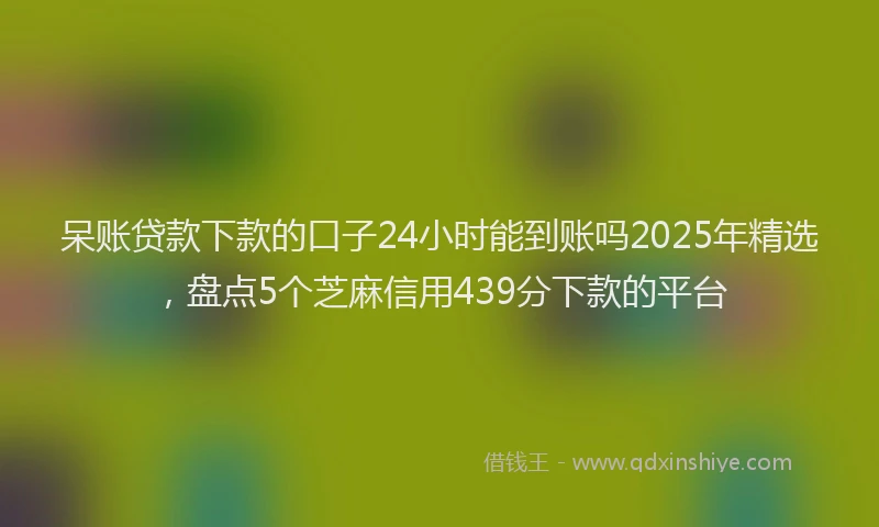 呆账贷款下款的口子24小时能到账吗2025年精选，盘点5个芝麻信用439分下款的平台