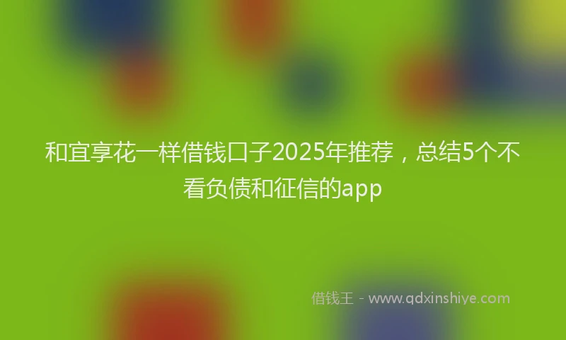 和宜享花一样借钱口子2025年推荐，总结5个不看负债和征信的app