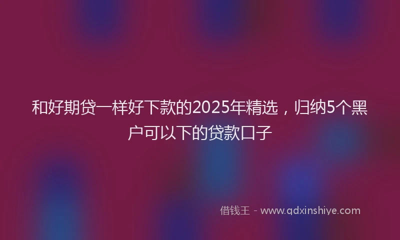 和好期贷一样好下款的2025年精选，归纳5个黑户可以下的贷款口子