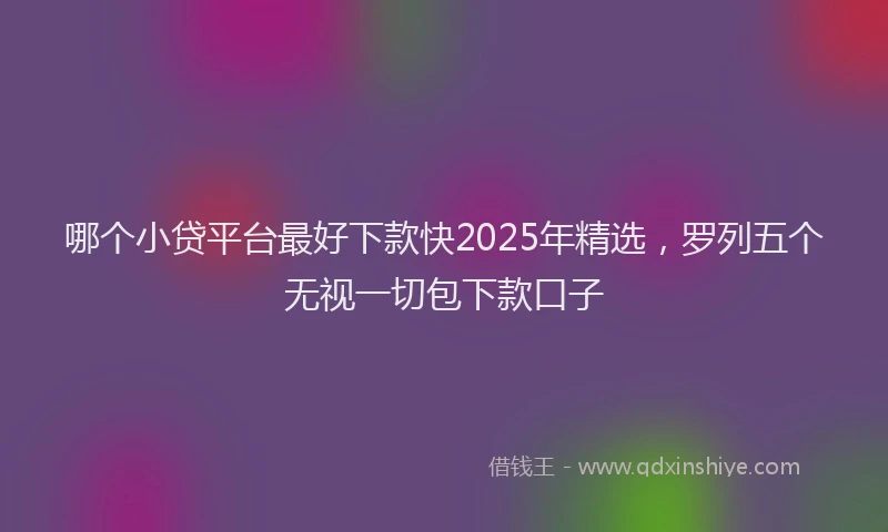 哪个小贷平台最好下款快2025年精选，罗列五个无视一切包下款口子