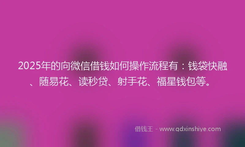 2025年的向微信借钱如何操作流程有：钱袋快融、随易花、读秒贷、射手花、福星钱包等。