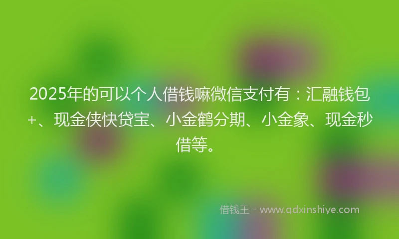 2025年的可以个人借钱嘛微信支付有：汇融钱包+、现金侠快贷宝、小金鹤分期、小金象、现金秒借等。