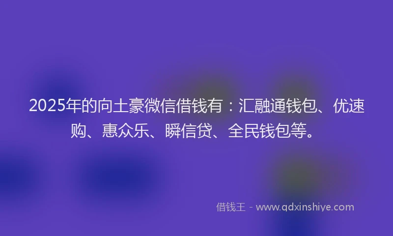 2025年的向土豪微信借钱有：汇融通钱包、优速购、惠众乐、瞬信贷、全民钱包等。