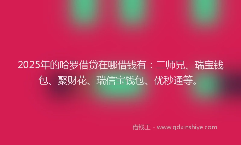 2025年的哈罗借贷在哪借钱有:二师兄、瑞宝钱包、聚财花、瑞信宝钱包、优秒通等。