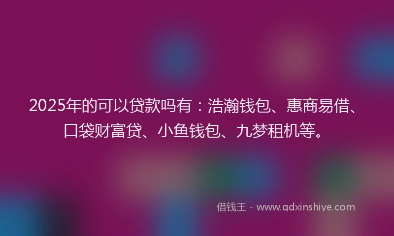 2025年的可以贷款吗有：浩瀚钱包、惠商易借、口袋财富贷、小鱼钱包、九梦租机等。