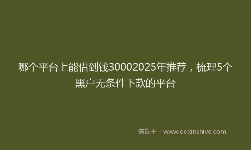 哪个平台上能借到钱30002025年推荐，梳理5个黑户无条件下款的平台