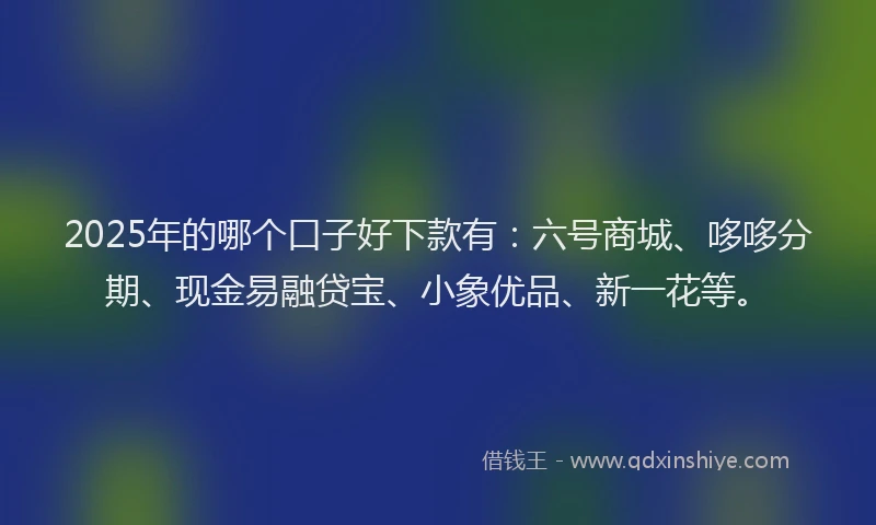2025年的哪个口子好下款有：六号商城、哆哆分期、现金易融贷宝、小象优品、新一花等。