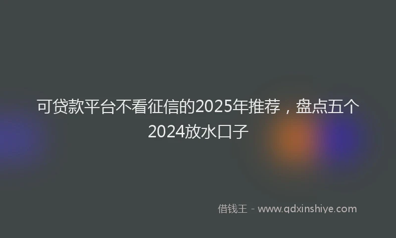 可贷款平台不看征信的2025年推荐，盘点五个2024放水口子