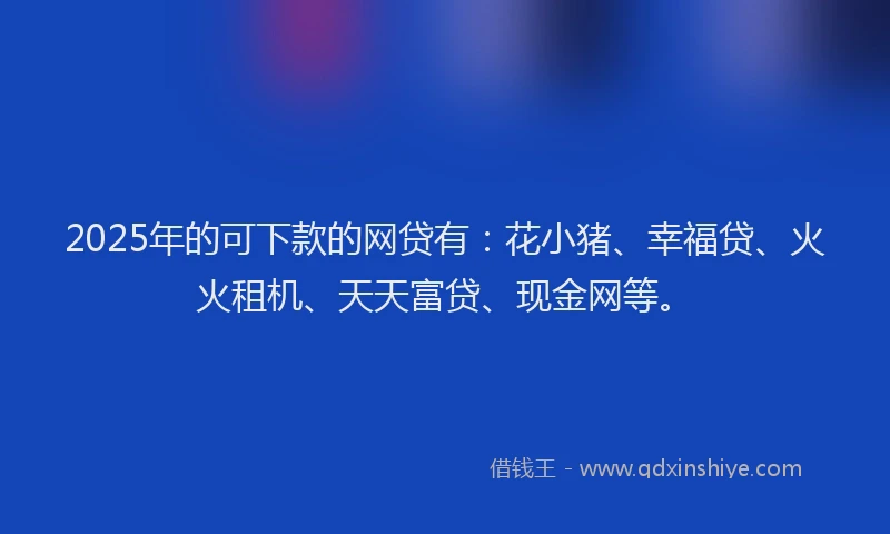 2025年的可下款的网贷有：花小猪、幸福贷、火火租机、天天富贷、现金网等。