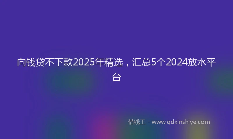 向钱贷不下款2025年精选，汇总5个2024放水平台