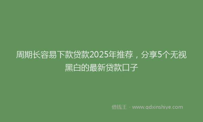 周期长容易下款贷款2025年推荐，分享5个无视黑白的最新贷款口子