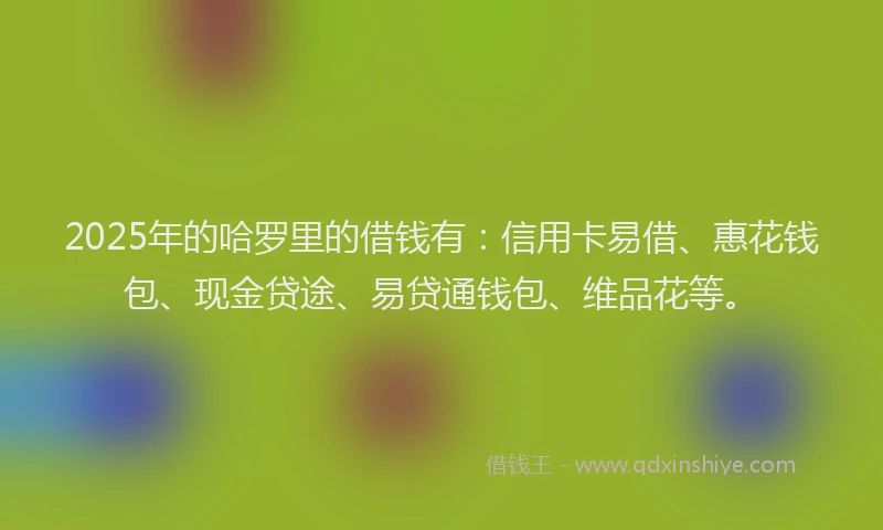 2025年的哈罗里的借钱有:信用卡易借、惠花钱包、现金贷途、易贷通钱包、维品花等。
