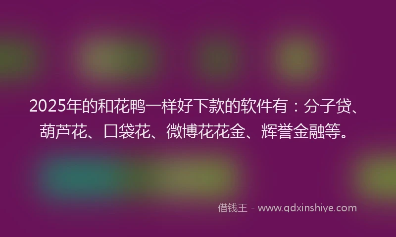 2025年的和花鸭一样好下款的软件有：分子贷、葫芦花、口袋花、微博花花金、辉誉金融等。