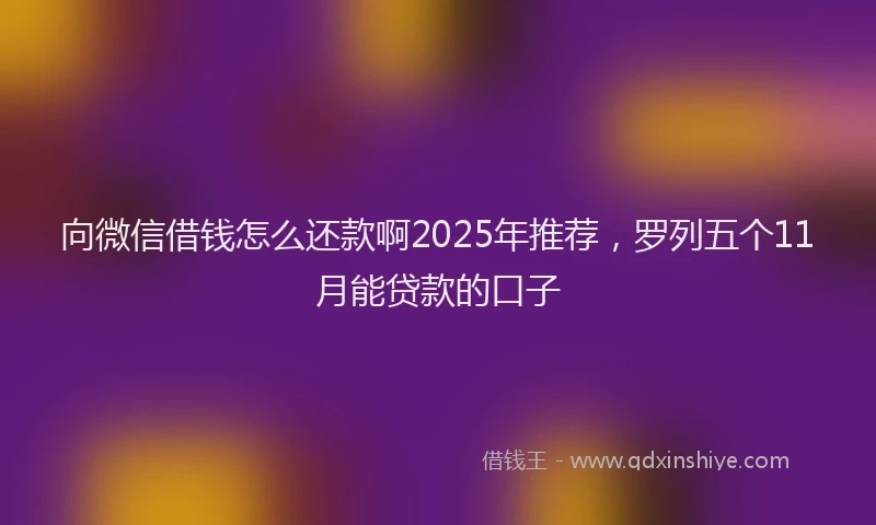 向微信借钱怎么还款啊2025年推荐，罗列五个11月能贷款的口子