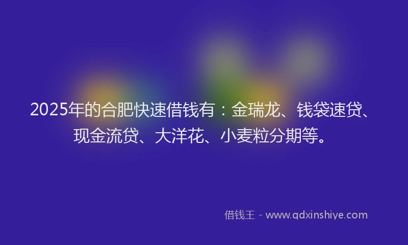 2025年的合肥快速借钱有：金瑞龙、钱袋速贷、现金流贷、大洋花、小麦粒分期等。