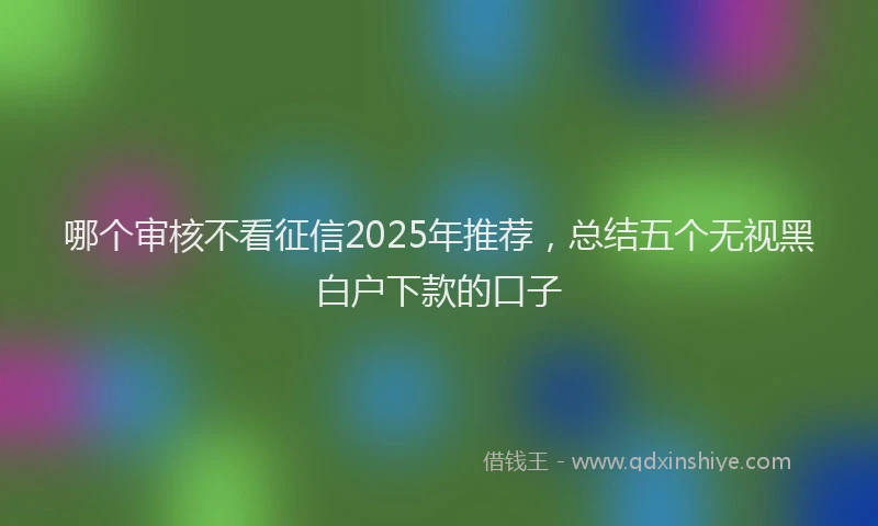 哪个审核不看征信2025年推荐，总结五个无视黑白户下款的口子