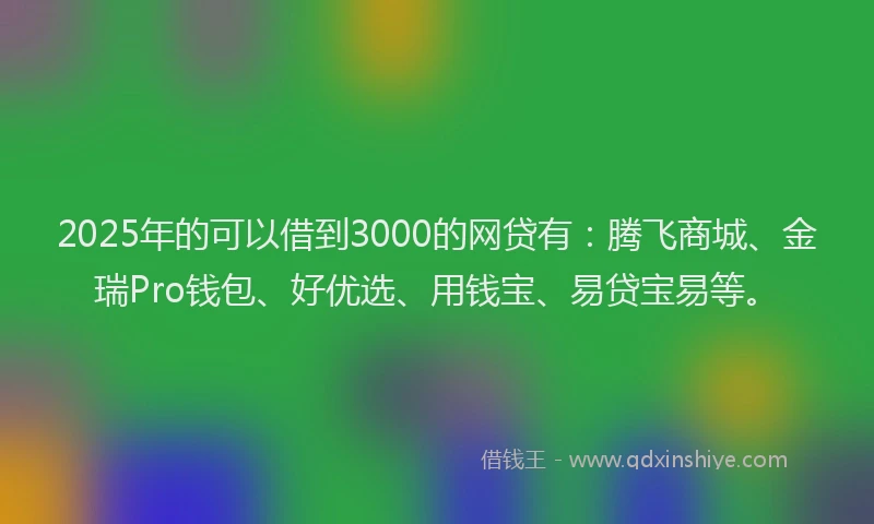 2025年的可以借到3000的网贷有：腾飞商城、金瑞Pro钱包、好优选、用钱宝、易贷宝易等。