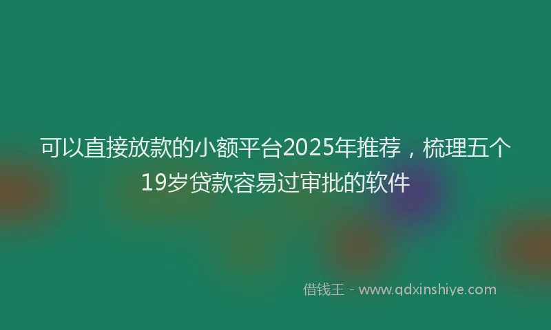 可以直接放款的小额平台2025年推荐，梳理五个19岁贷款容易过审批的软件