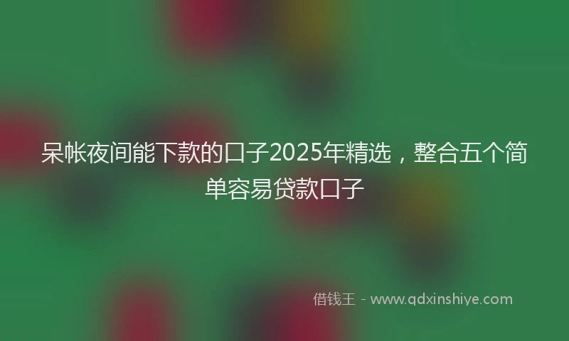呆帐夜间能下款的口子2025年精选，整合五个简单容易贷款口子