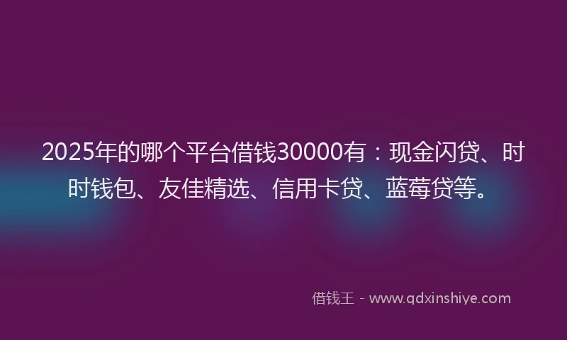 2025年的哪个平台借钱30000有：现金闪贷、时时钱包、友佳精选、信用卡贷、蓝莓贷等。