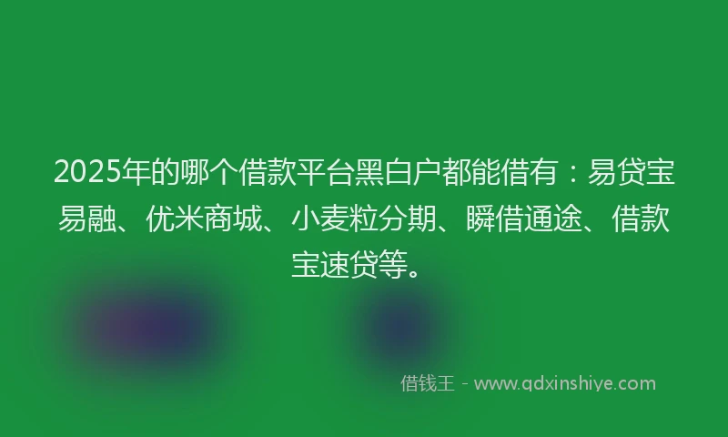 2025年的哪个借款平台黑白户都能借有：易贷宝易融、优米商城、小麦粒分期、瞬借通途、借款宝速贷等。