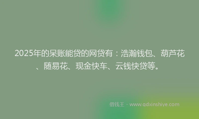 2025年的呆账能贷的网贷有：浩瀚钱包、葫芦花、随易花、现金快车、云钱快贷等。