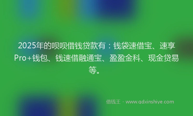 2025年的呗呗借钱贷款有：钱袋速借宝、速享Pro+钱包、钱速借融通宝、盈盈金科、现金贷易等。