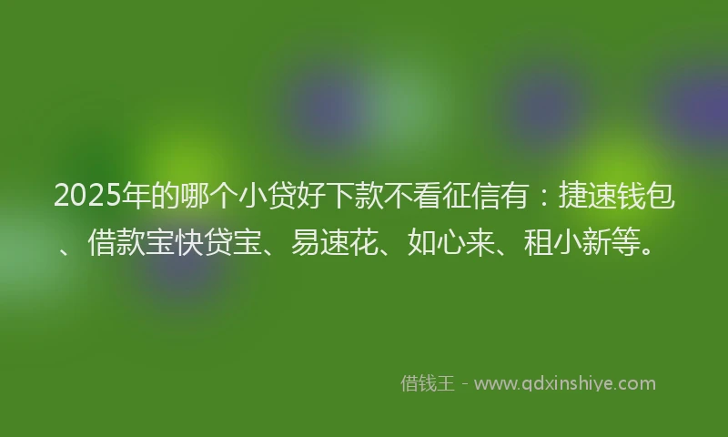 2025年的哪个小贷好下款不看征信有：捷速钱包、借款宝快贷宝、易速花、如心来、租小新等。