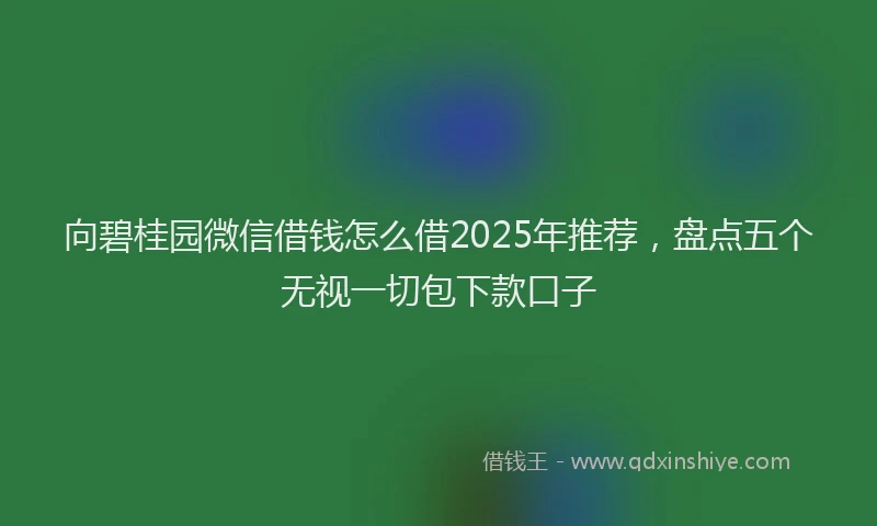 向碧桂园微信借钱怎么借2025年推荐，盘点五个无视一切包下款口子