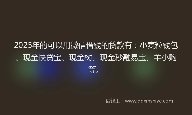 2025年的可以用微信借钱的贷款有：小麦粒钱包、现金快贷宝、现金树、现金秒融易宝、羊小购等。
