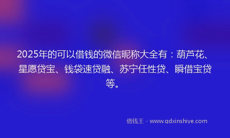 2025年的可以借钱的微信昵称大全有：葫芦花、星愿贷宝、钱袋速贷融、苏宁任性贷、瞬借宝贷等。