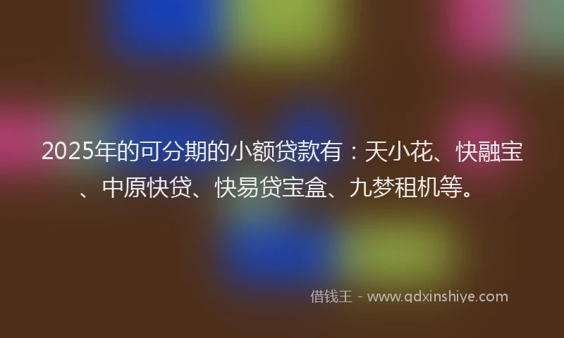 2025年的可分期的小额贷款有：天小花、快融宝、中原快贷、快易贷宝盒、九梦租机等。