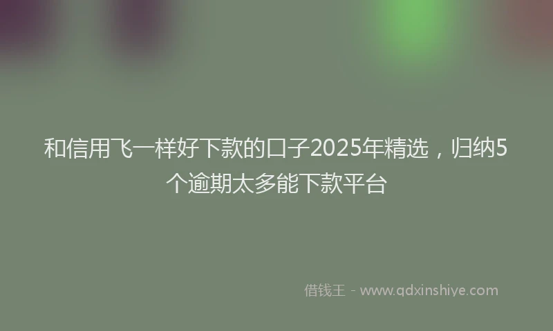 和信用飞一样好下款的口子2025年精选,归纳5个逾期太多能下款平台