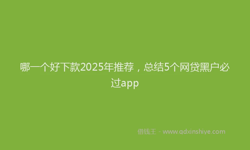 哪一个好下款2025年推荐，总结5个网贷黑户必过app