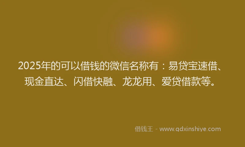 2025年的可以借钱的微信名称有：易贷宝速借、现金直达、闪借快融、龙龙用、爱贷借款等。