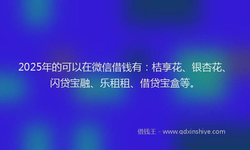 2025年的可以在微信借钱有：桔享花、银杏花、闪贷宝融、乐租租、借贷宝盒等。