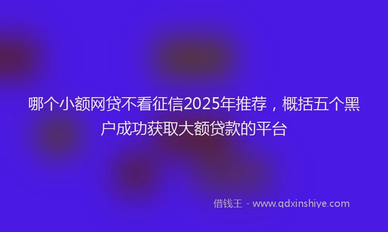 哪个小额网贷不看征信2025年推荐，概括五个黑户成功获取大额贷款的平台