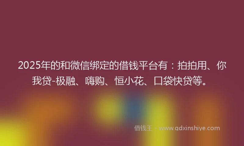 2025年的和微信绑定的借钱平台有：拍拍用、你我贷-极融、嗨购、恒小花、口袋快贷等。